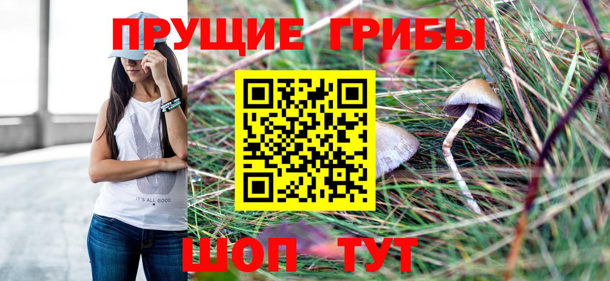 Псилоцибиновые грибы мухоморы  Вход с VPN  Галлюциногенные грибы Psilocybe  Коряжма 