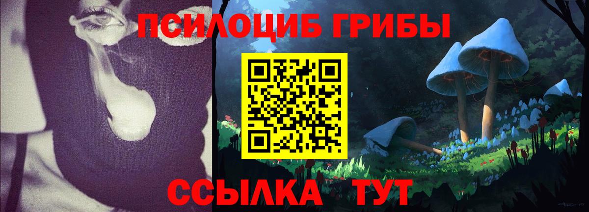 Галлюциногенные грибы MAGIC MUSHROOMS Коряжма